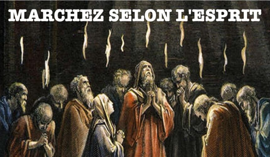 MARCHEZ SELON L&rsquo;ESPRIT