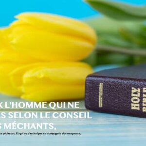 HEUREUX L&rsquo;HOMME QUI NE MARCHE PAS SELON LE CONSEIL DES MÉCHANTS