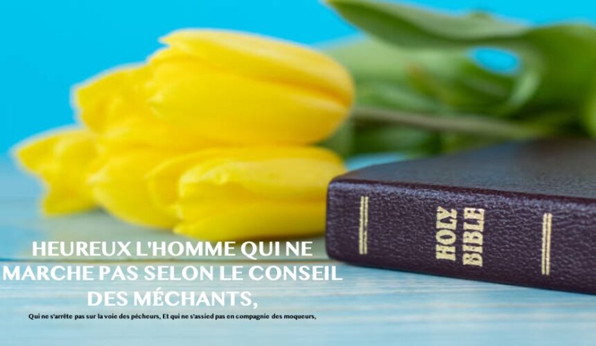 HEUREUX L&rsquo;HOMME QUI NE MARCHE PAS SELON LE CONSEIL DES MÉCHANTS